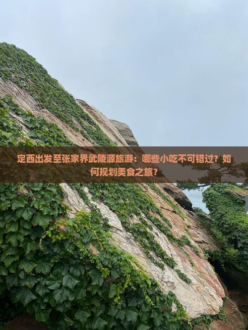 定西出发至张家界武陵源旅游：哪些小吃不可错过？如何规划美食之旅？