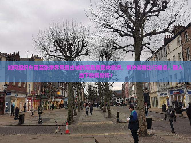 如何组织东莞至张家界凤凰古城的高品质团体旅游，解决游客出行痛点，融入当下热词新词？