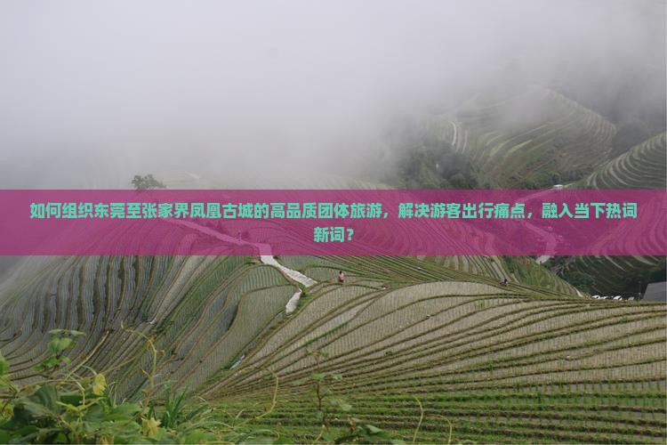 如何组织东莞至张家界凤凰古城的高品质团体旅游，解决游客出行痛点，融入当下热词新词？