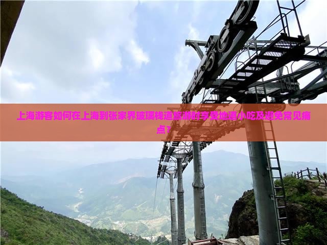上海游客如何在上海到张家界玻璃栈道旅游时享受地道小吃及避免常见痛点？