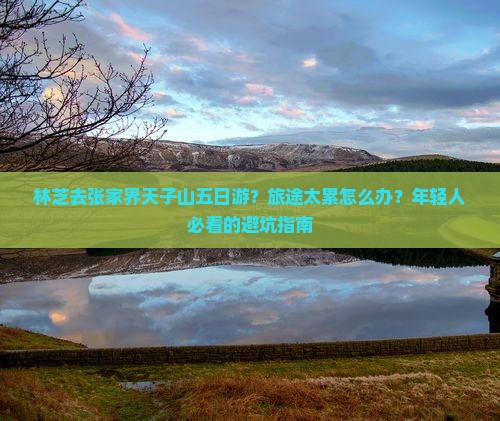 林芝去张家界天子山五日游？旅途太累怎么办？年轻人必看的避坑指南
