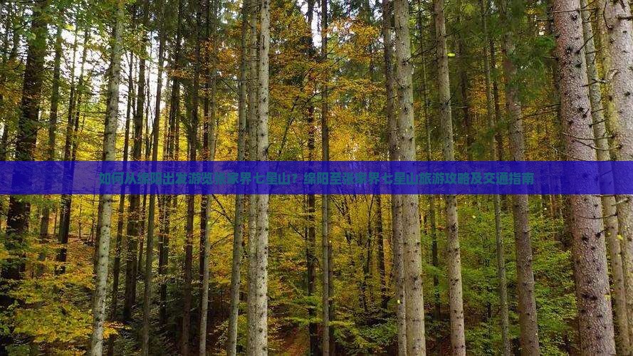 如何从绵阳出发游览张家界七星山？绵阳至张家界七星山旅游攻略及交通指南