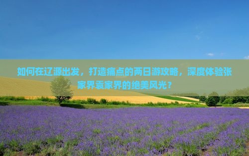 如何在辽源出发，打造痛点的两日游攻略，深度体验张家界袁家界的绝美风光？