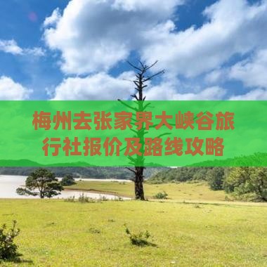 梅州去张家界大峡谷旅行社报价及路线攻略