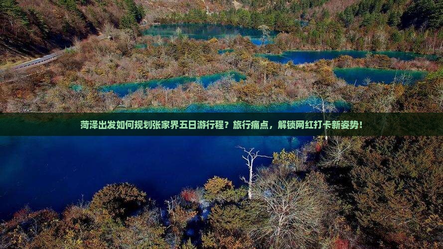 菏泽出发如何规划张家界五日游行程？旅行痛点，解锁网红打卡新姿势！