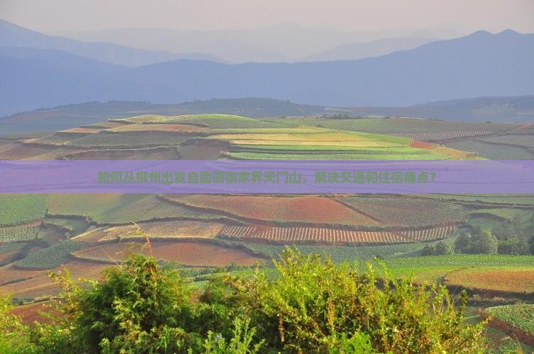 如何从柳州出发自助游张家界天门山，解决交通和住宿痛点？