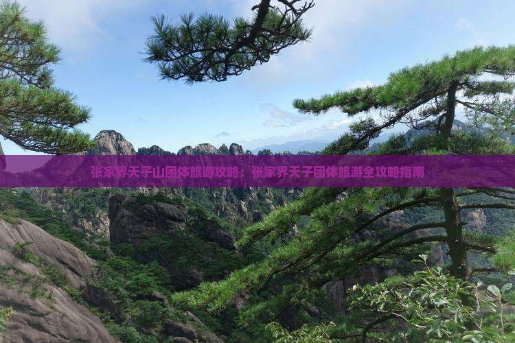 张家界天子山团体旅游攻略：张家界天子团体旅游全攻略指南