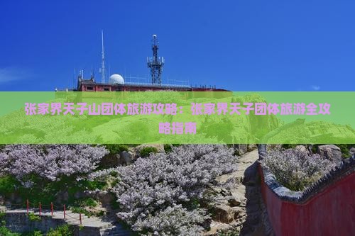 张家界天子山团体旅游攻略：张家界天子团体旅游全攻略指南