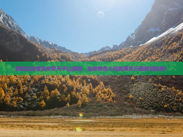 邵阳出发至张家界天子山旅游，当地特色小吃推荐及行程规划指南？