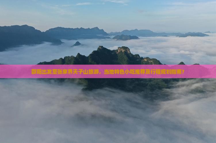 邵阳出发至张家界天子山旅游，当地特色小吃推荐及行程规划指南？
