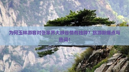为何玉林游客对张家界大峡谷情有独钟？旅游新痛点与热词！
