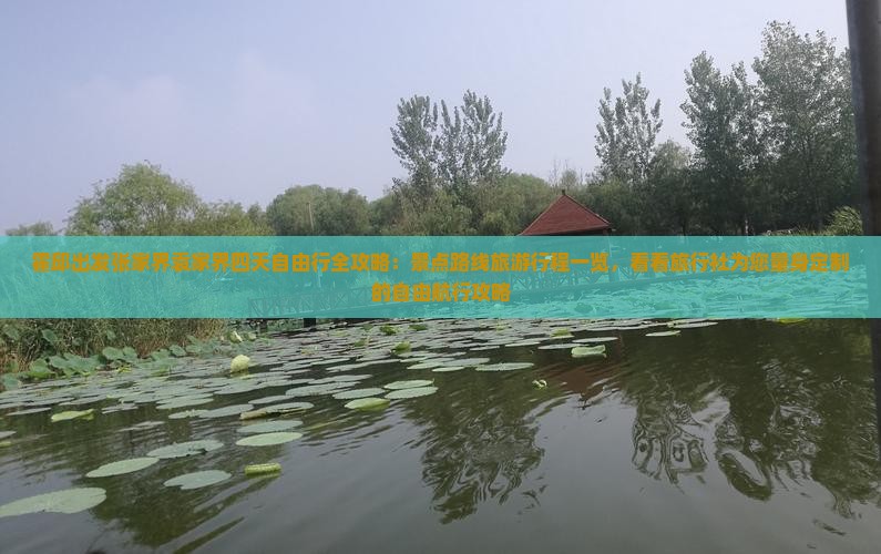 霍邱出发张家界袁家界四天自由行全攻略：景点路线旅游行程一览，看看旅行社为您量身定制的自由航行攻略