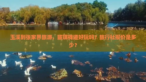 玉溪到张家界旅游，玻璃栈道好玩吗？旅行社报价是多少？