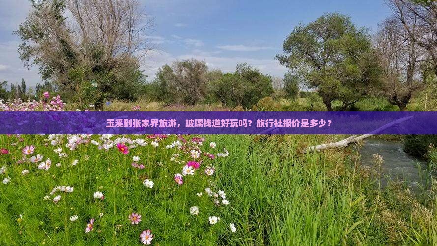 玉溪到张家界旅游，玻璃栈道好玩吗？旅行社报价是多少？