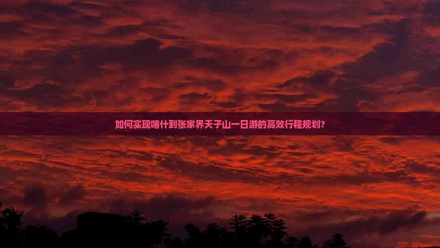 如何实现喀什到张家界天子山一日游的高效行程规划？