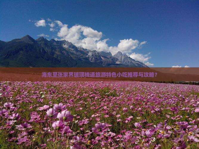 海东至张家界玻璃栈道旅游特色小吃推荐与攻略？