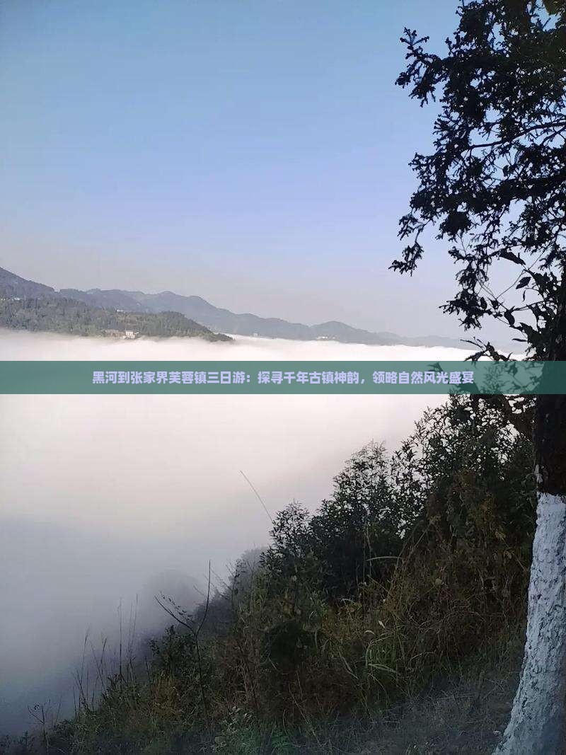 黑河到张家界芙蓉镇三日游：探寻千年古镇神韵，领略自然风光盛宴
