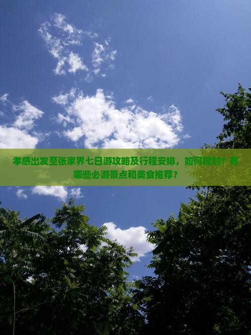 孝感出发至张家界七日游攻略及行程安排，如何规划？有哪些必游景点和美食推荐？