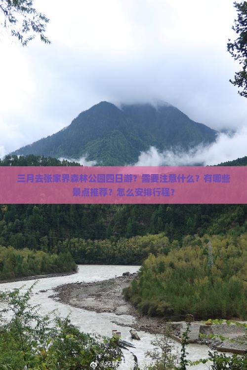 三月去张家界森林公园四日游？需要注意什么？有哪些景点推荐？怎么安排行程？