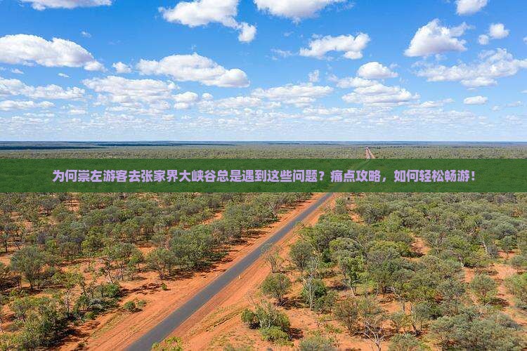 为何崇左游客去张家界大峡谷总是遇到这些问题？痛点攻略，如何轻松畅游！