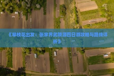《攀枝花出发：张家界武陵源四日游攻略与路线详析》