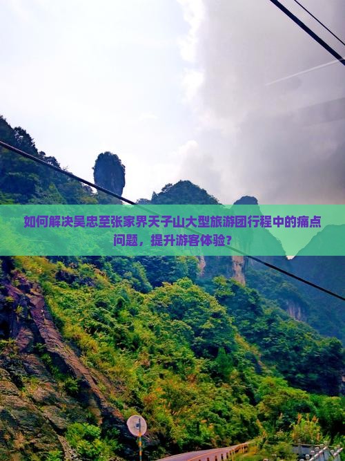 如何解决吴忠至张家界天子山大型旅游团行程中的痛点问题，提升游客体验？