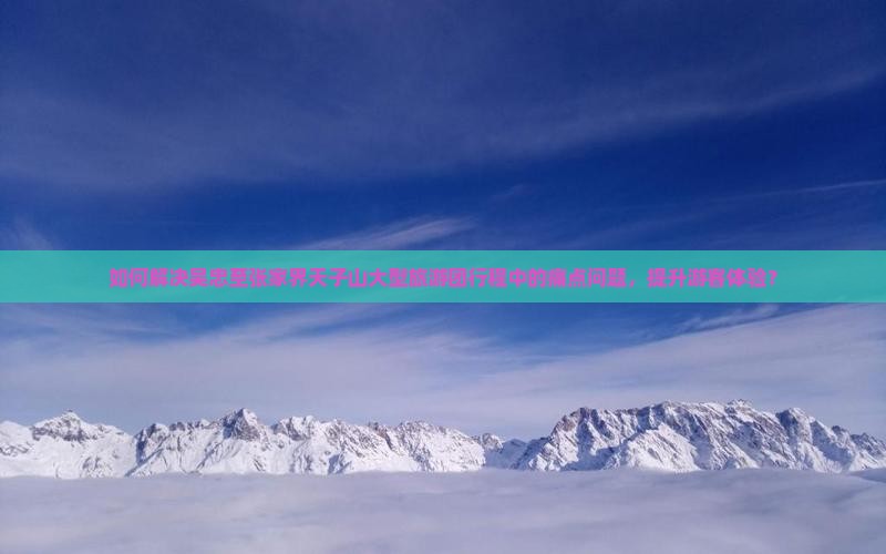 如何解决吴忠至张家界天子山大型旅游团行程中的痛点问题，提升游客体验？