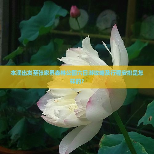 本溪出发至张家界森林公园六日游攻略及行程安排是怎样的？