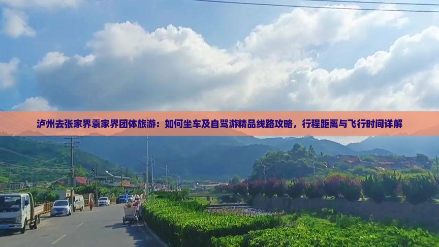 泸州去张家界袁家界团体旅游：如何坐车及自驾游精品线路攻略，行程距离与飞行时间详解
