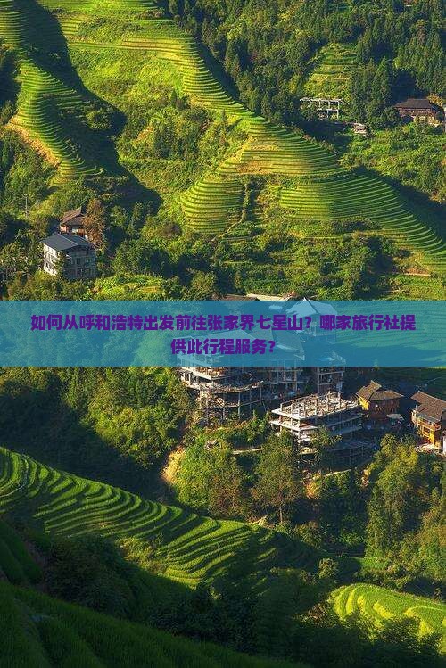 如何从呼和浩特出发前往张家界七星山？哪家旅行社提供此行程服务？