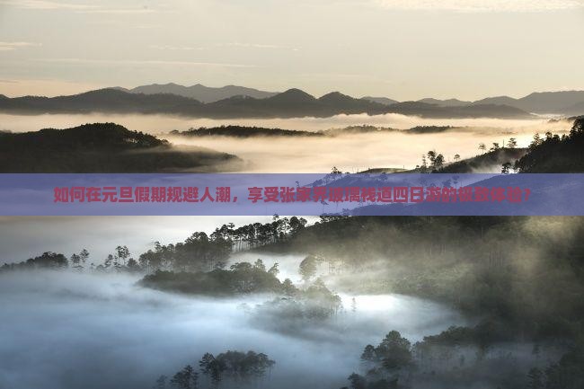 如何在元旦假期规避人潮，享受张家界玻璃栈道四日游的极致体验？