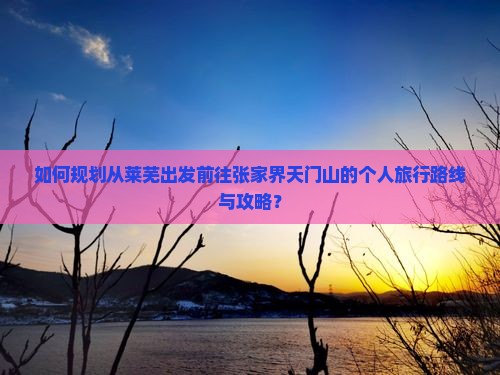 如何规划从莱芜出发前往张家界天门山的个人旅行路线与攻略？