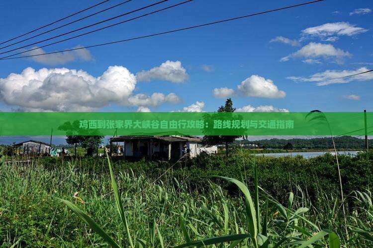 鸡西到张家界大峡谷自由行攻略：路线规划与交通指南