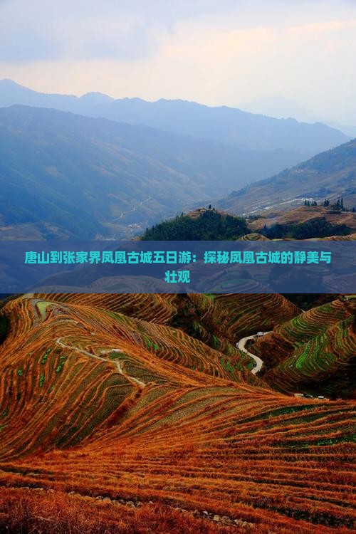 唐山到张家界凤凰古城五日游:探秘凤凰古城的静美与壮观 唐山到张家界凤凰古城五日游:探秘凤凰古城的静美与壮观