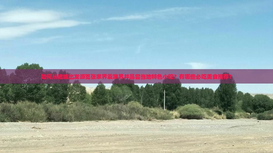如何从诸城出发游览张家界袁家界并品尝当地特色小吃？有哪些必吃美食推荐？