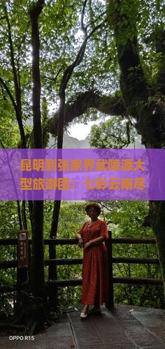 昆明到张家界武陵源大型旅游团：七彩云南尽在掌握中