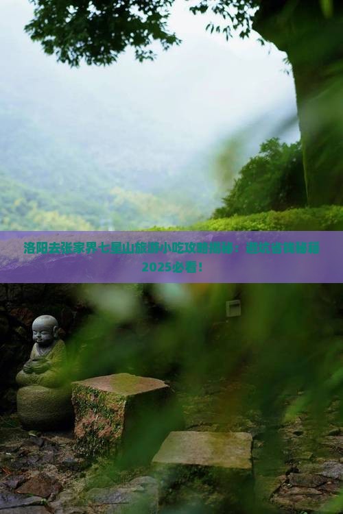 洛阳去张家界七星山旅游小吃