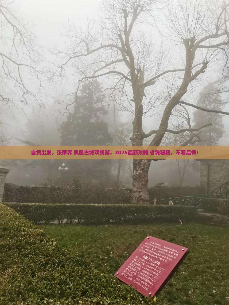 自贡去张家界凤凰古城旅行社