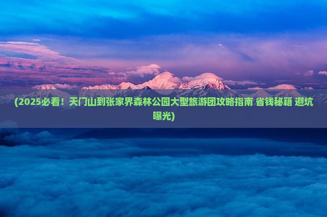 天门到张家界森林公园大型旅游团