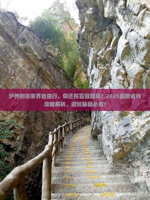 泸州到张家界自由行
