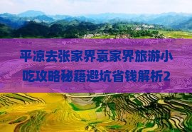 平凉去张家界袁家界旅游小吃