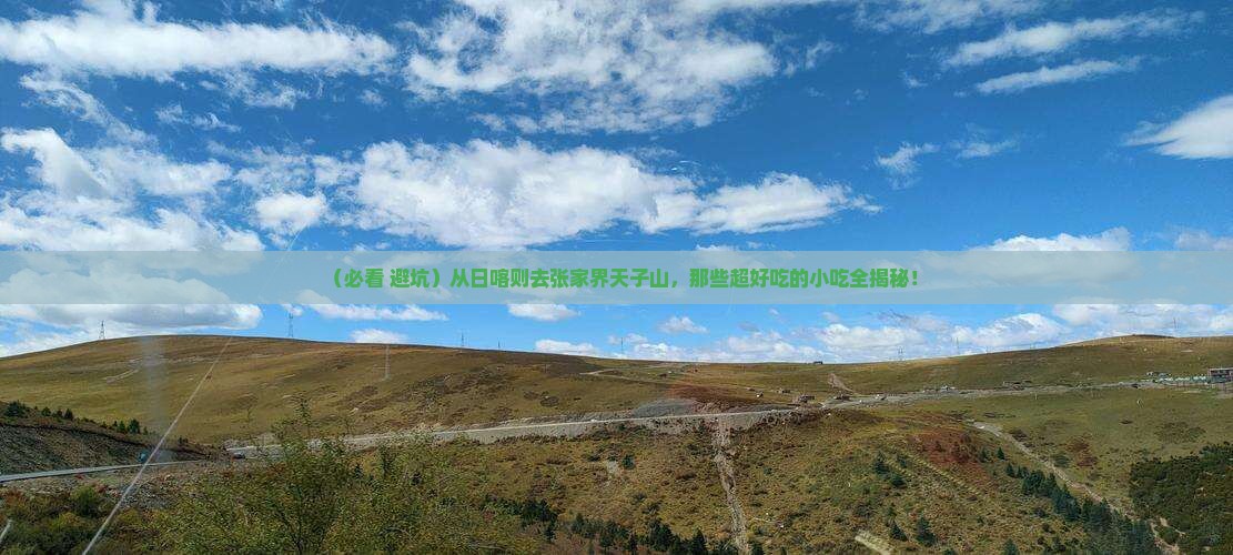 日喀则去张家界天子山旅游小吃