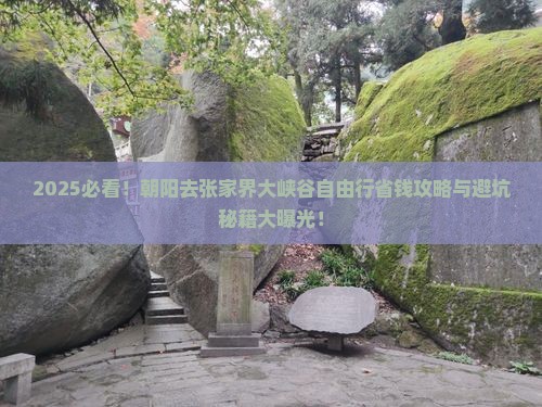 朝阳去张家界大峡谷自由行