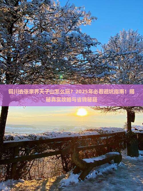 铜川去张家界天子山旅行社
