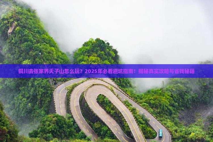铜川去张家界天子山旅行社