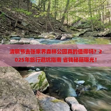 清明节去张家界森林公园旅行社