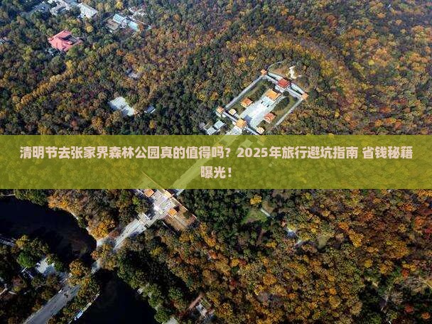 清明节去张家界森林公园旅行社
