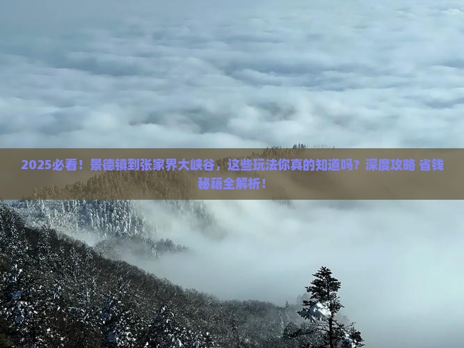 景德镇到张家界大峡谷哪里玩