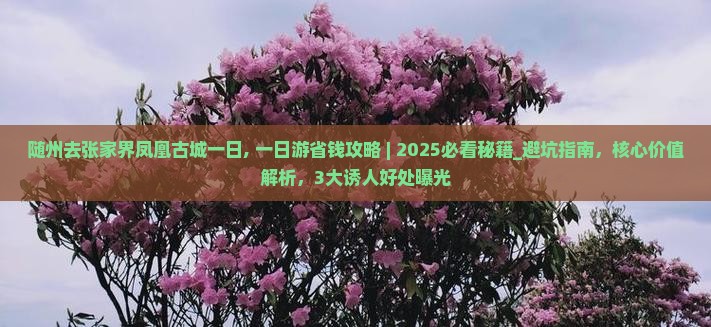 随州去张家界凤凰古城一日