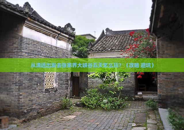 清远去张家界大峡谷五日游